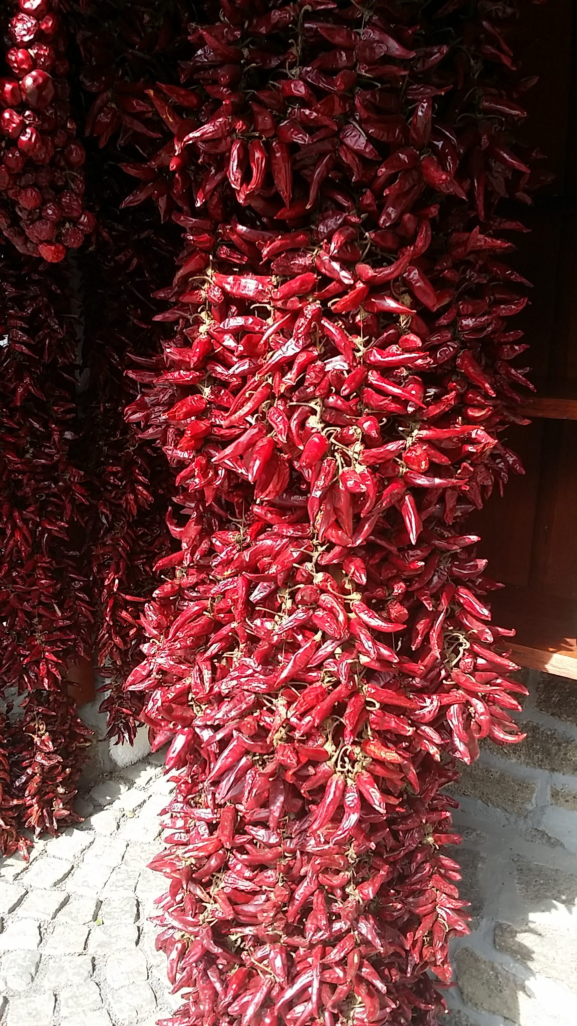 Near Szeged, the paprika story continues from pepper to mill