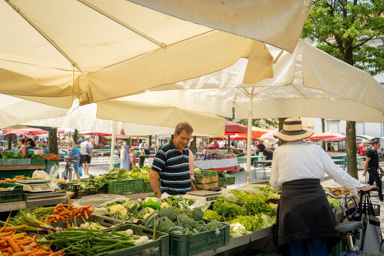 At Ljubljana’s market, the river becomes part of the shopping