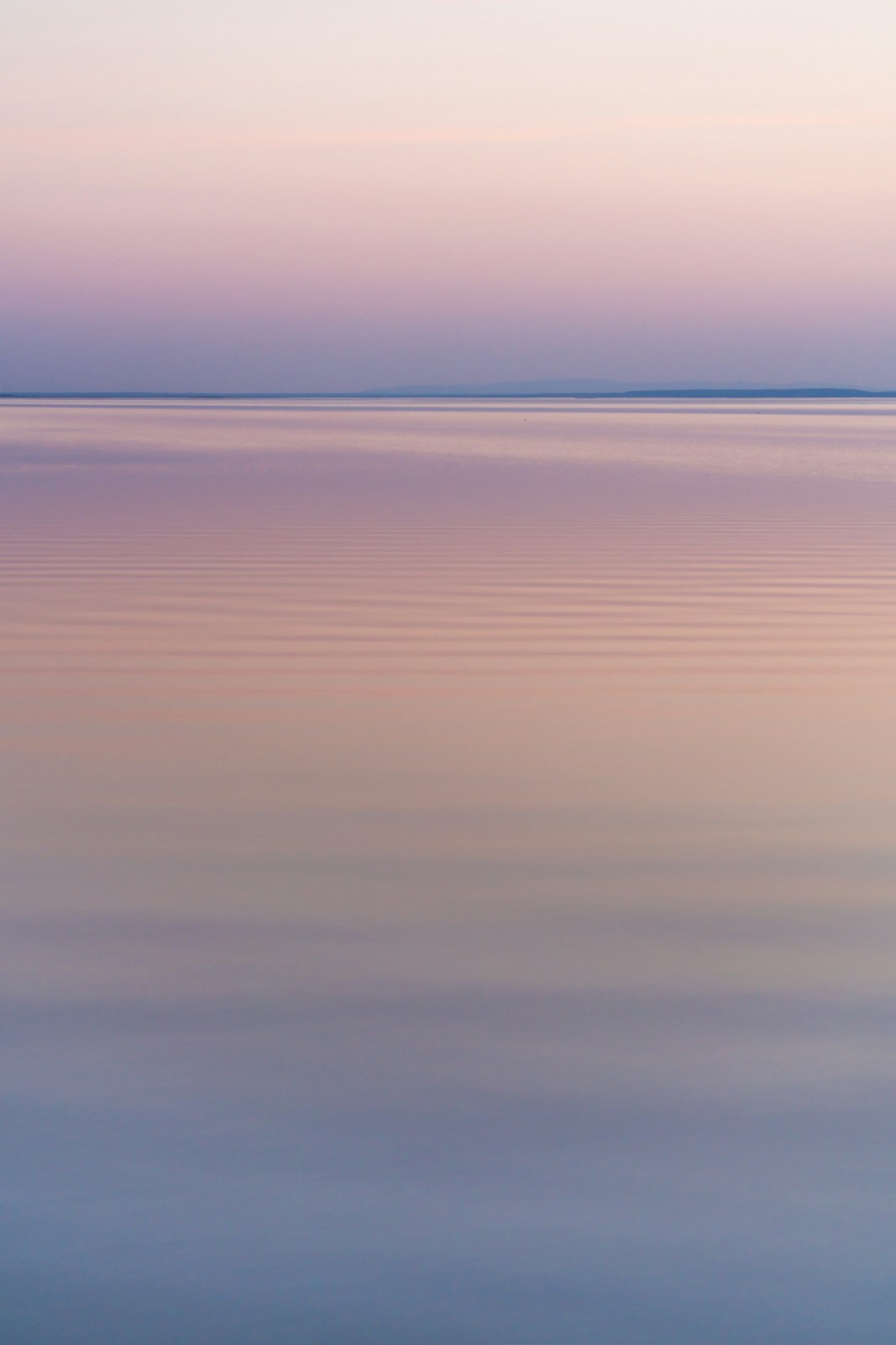 Two names, one landscape: looking around Fertő and Neusiedlersee